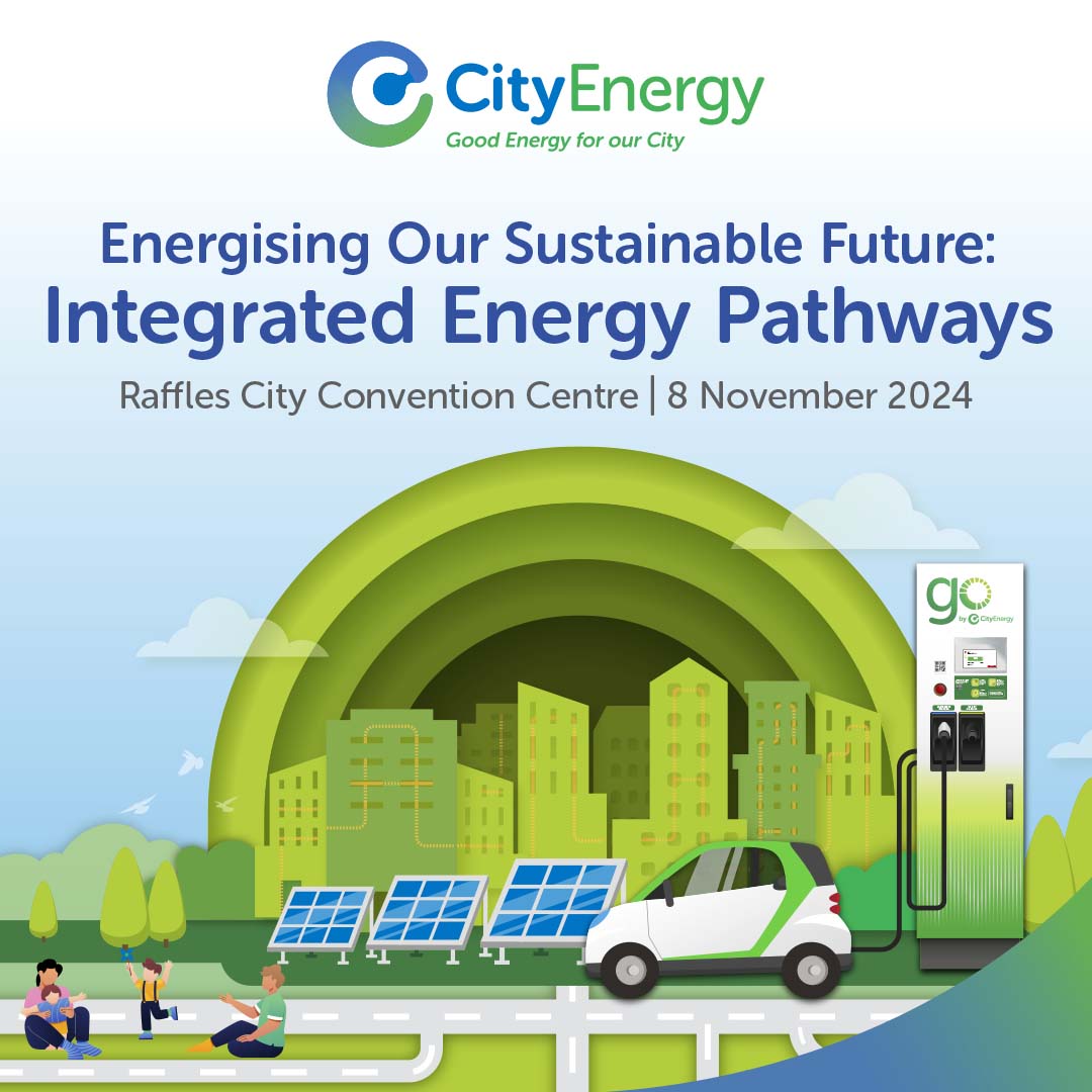 Energising Our Sustainable Future Integrated Energy Pathways (TEST