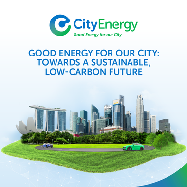 Good Energy For Our City: Towards A Sustainable, Low-carbon Future