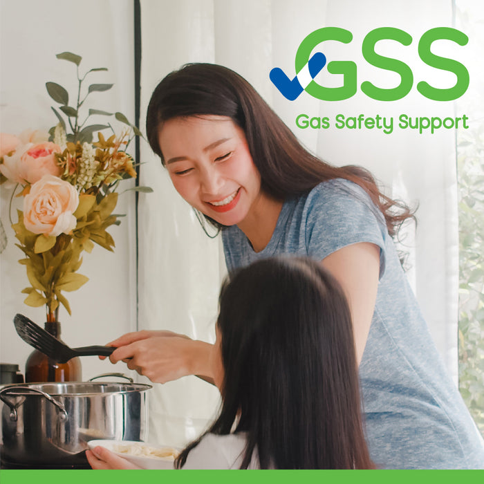 Gas Safety Support (GSS) Plan